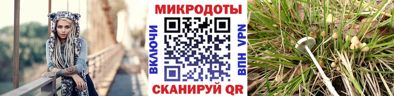 купить закладку  Белёв  Псилоцибиновые грибы GOLDEN TEACHER 